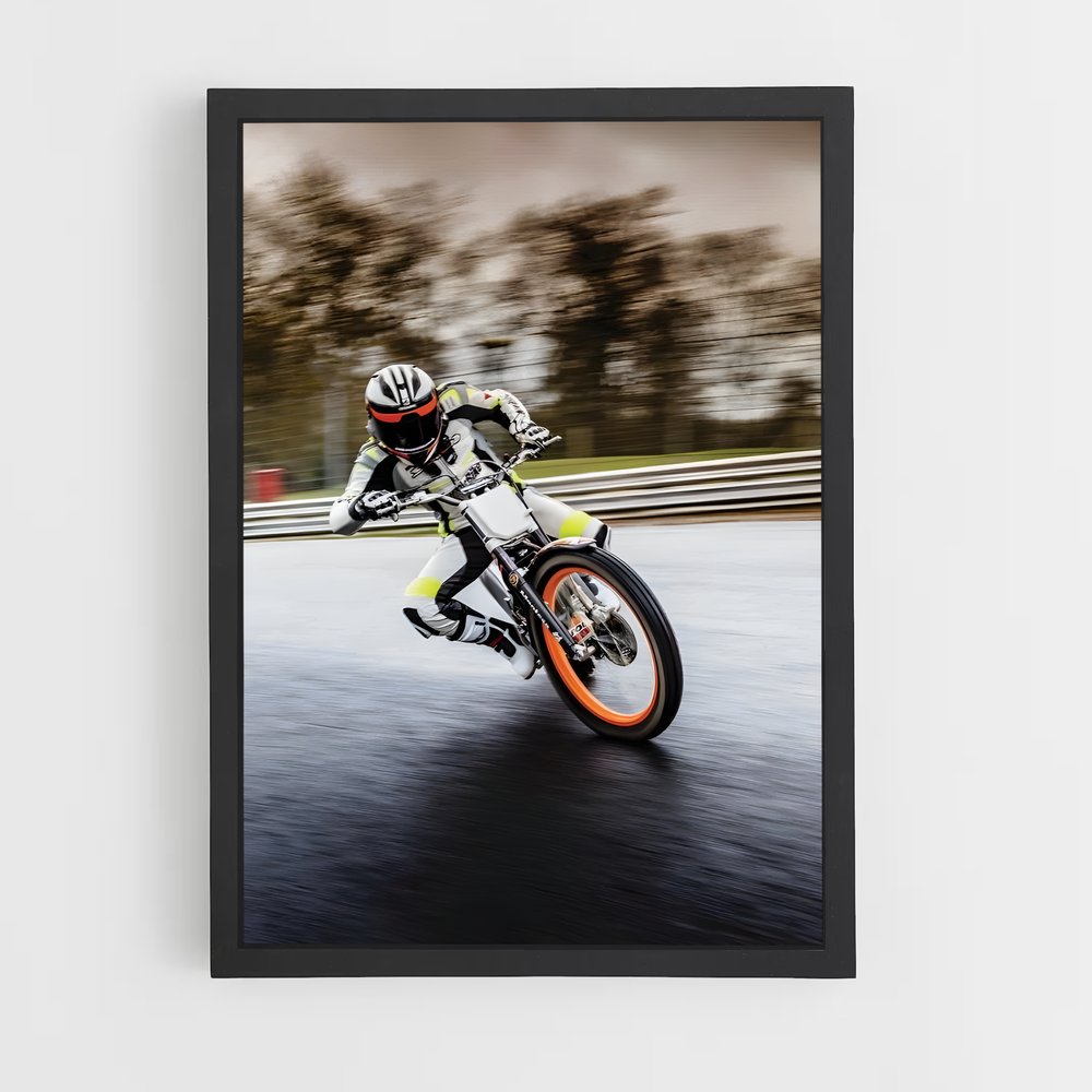 Poster Cota rt vibrant (vue 2)